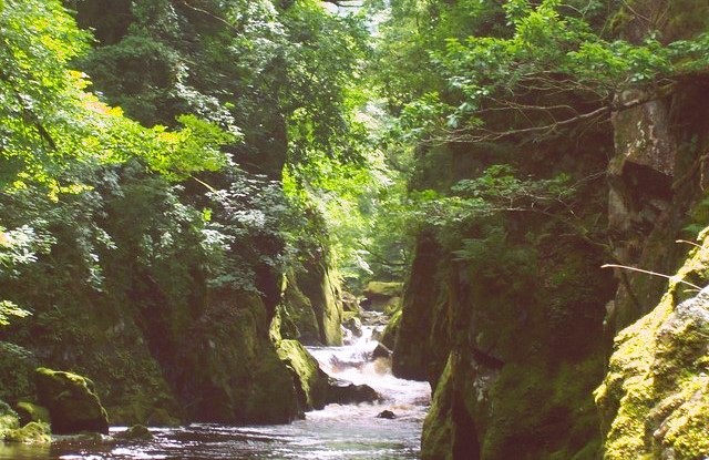 Ffos Anoddun (Fairy Glen)