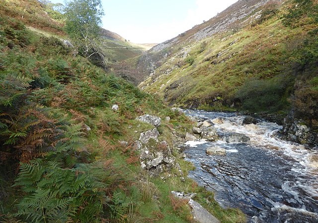 Afon Cynfal