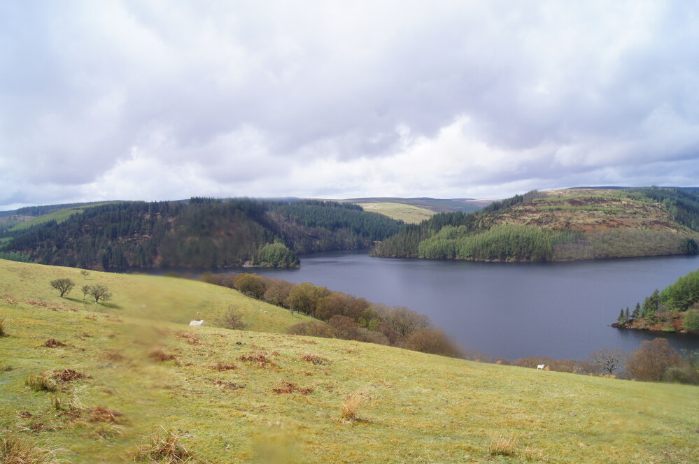 Llyn Brianne and Dalarwen