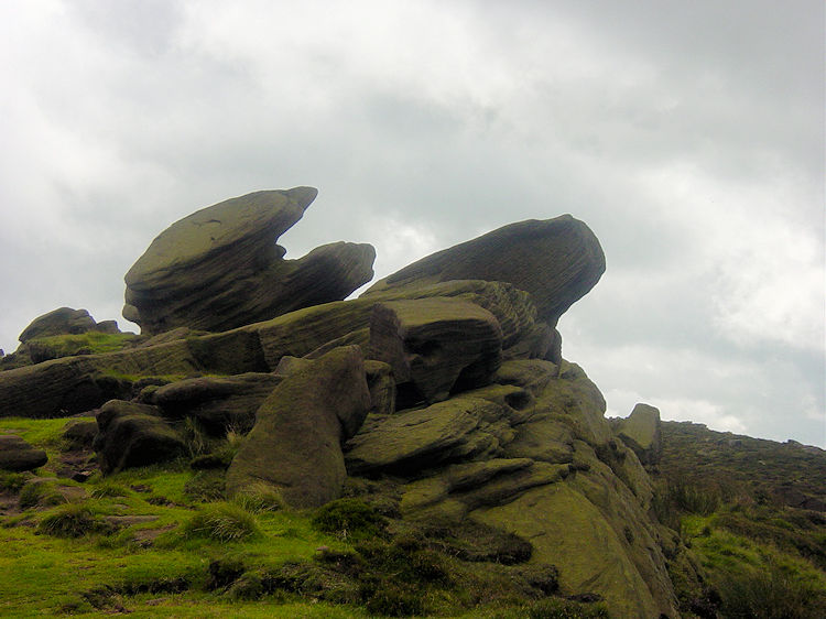 Gritstone shapes on the Roaches