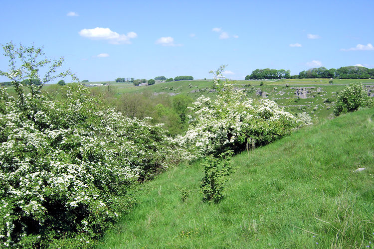 Approaching Cales Dale