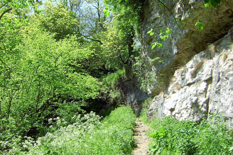 Climbing out of Cales Dale