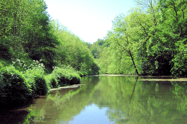 Peaceful Bradford Dale