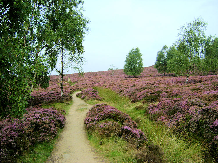 Walking from Surprise View to Millstone Edge