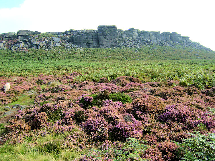 Higger Tor