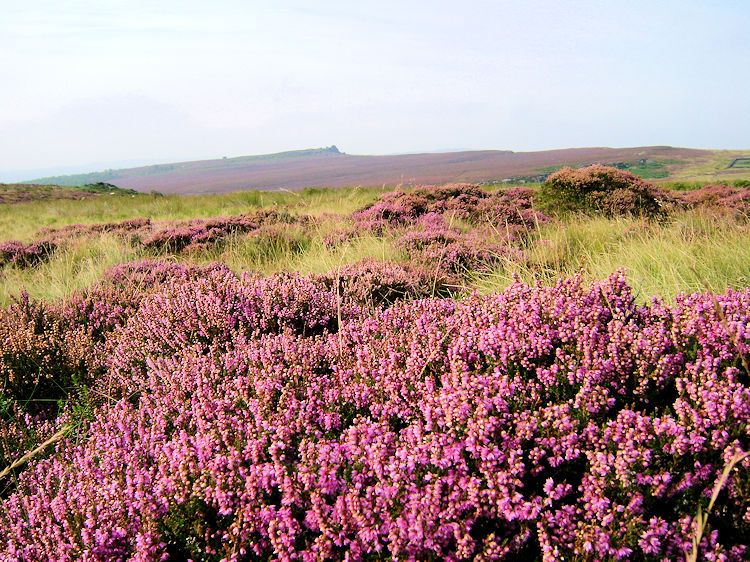 Looking to Burbage Rocks from near Higger Tor