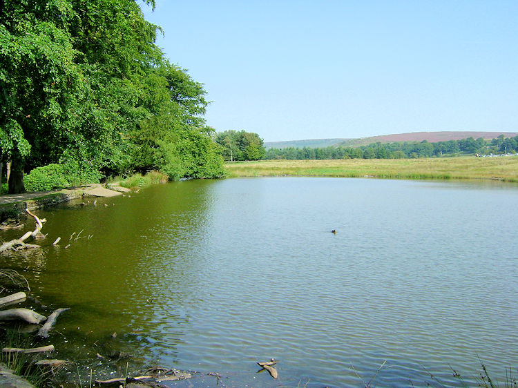 Pond in the Longshaw Estate near Granby Wood