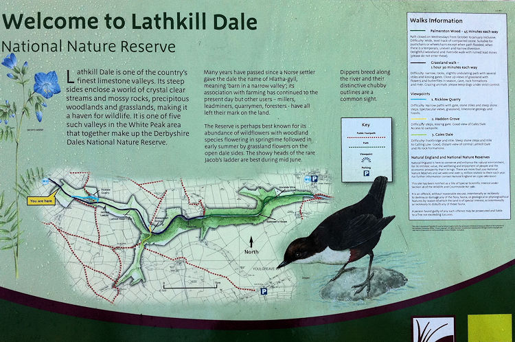 Welcome to Lathkill Dale