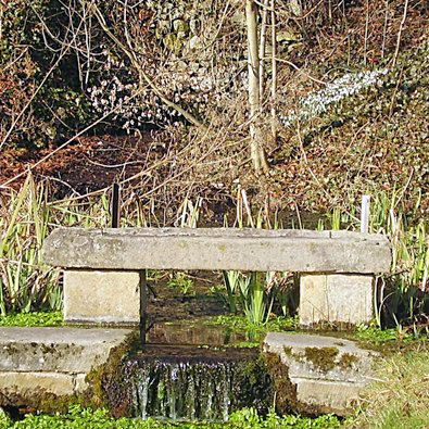 Stoney Middleton spring and snowdrops