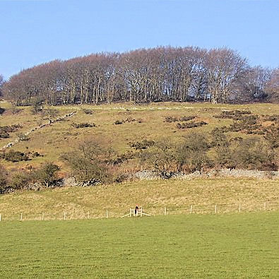 Longstone Edge