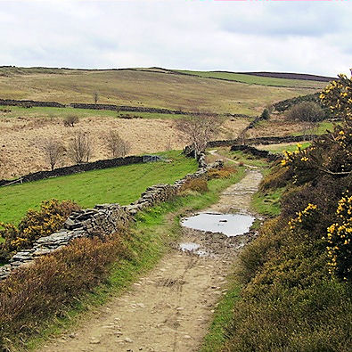 Byways above Rowarth one of many on the trail