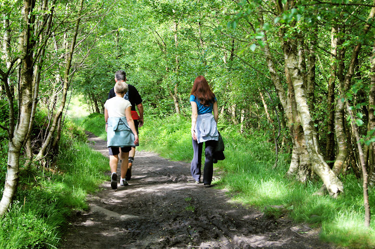 Walking through Ladybower Wood