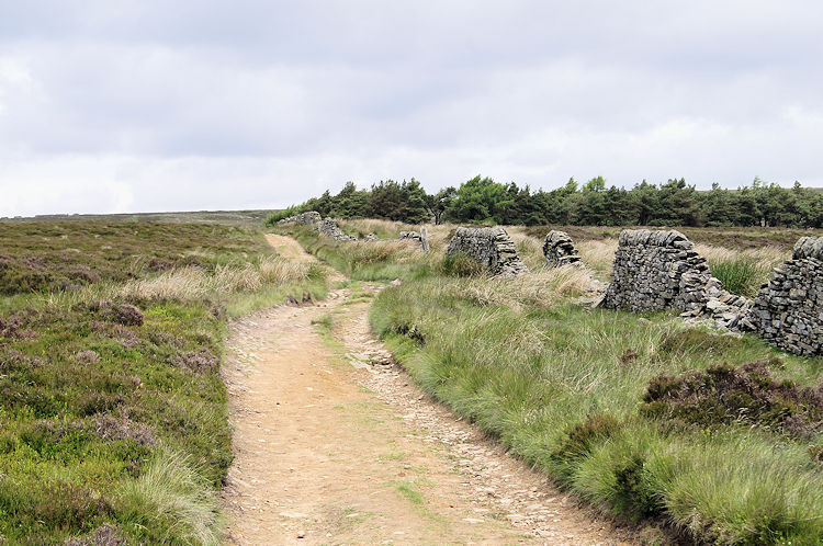 On the moorland track by Pike Low