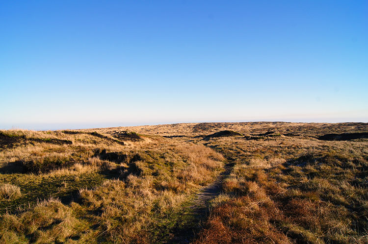 The path leading north-east from Bleaklow Head