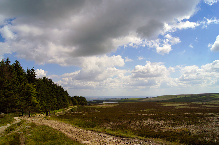 Stanage Moor