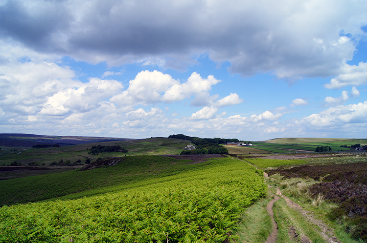 Walking from moor to Moscar Lodge