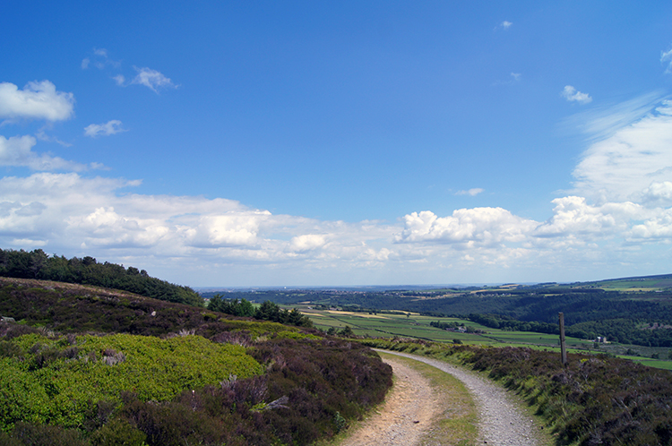 View from Hollow Meadows to Sheffield