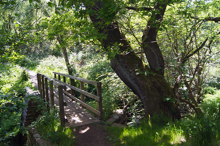 Footbridge over Hollow Meadows Brook