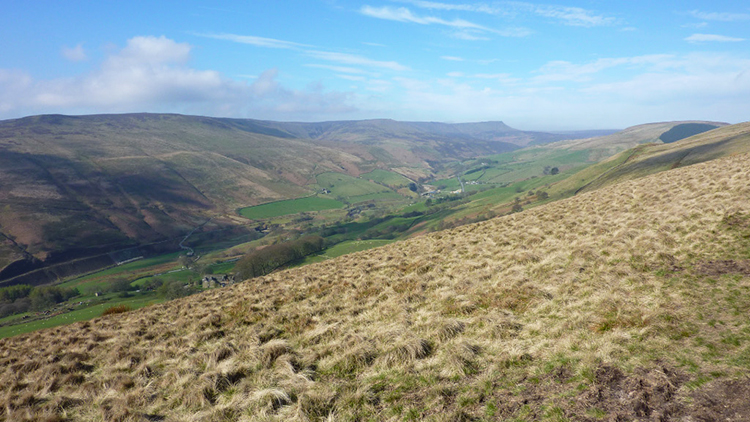 Alport Dale