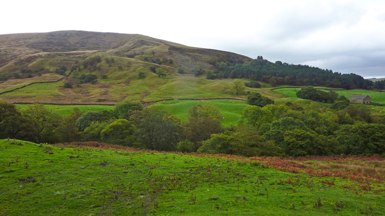 View from near Alport Farm to Whitefield Pits