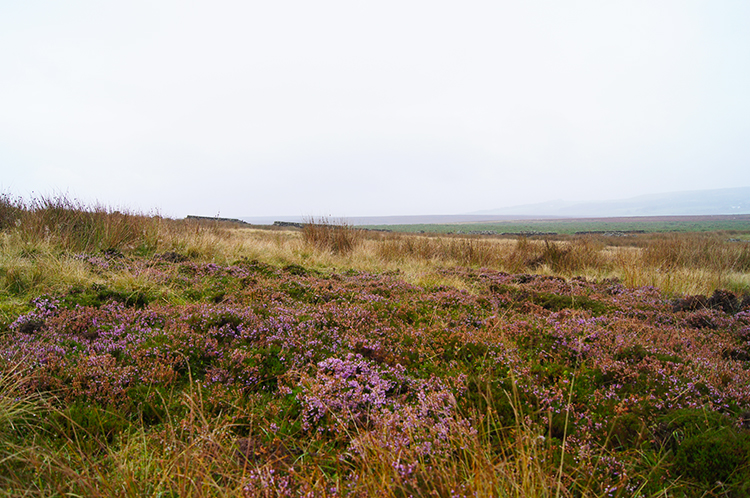 Hallam Moors