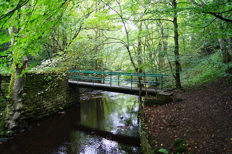 River Rivelin