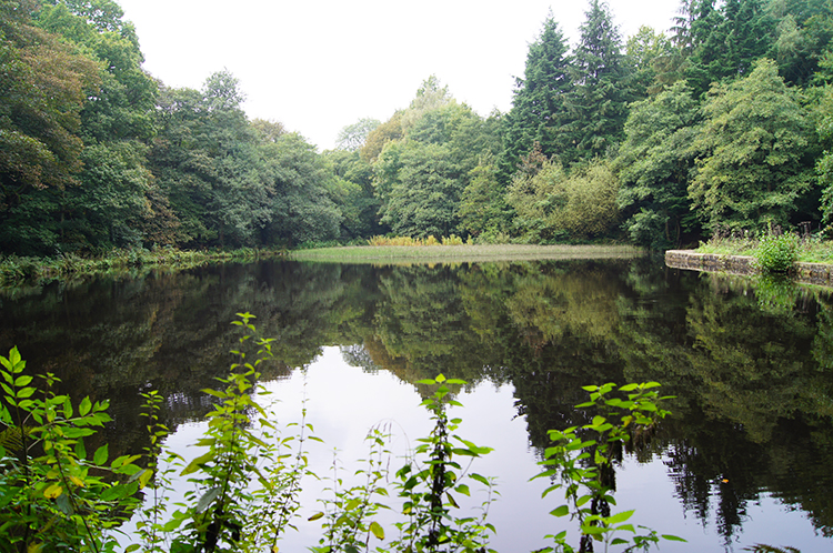 Round Dam at Hind Wheel