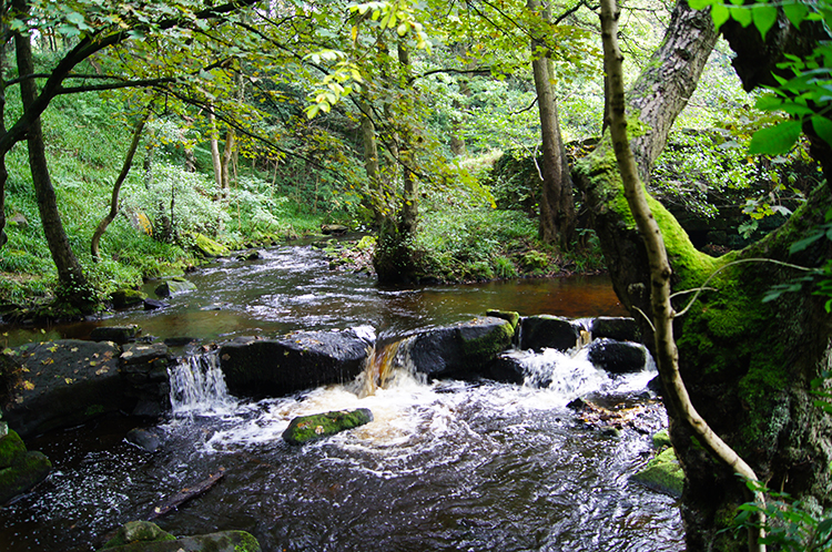 Cascades on the River Rivelin