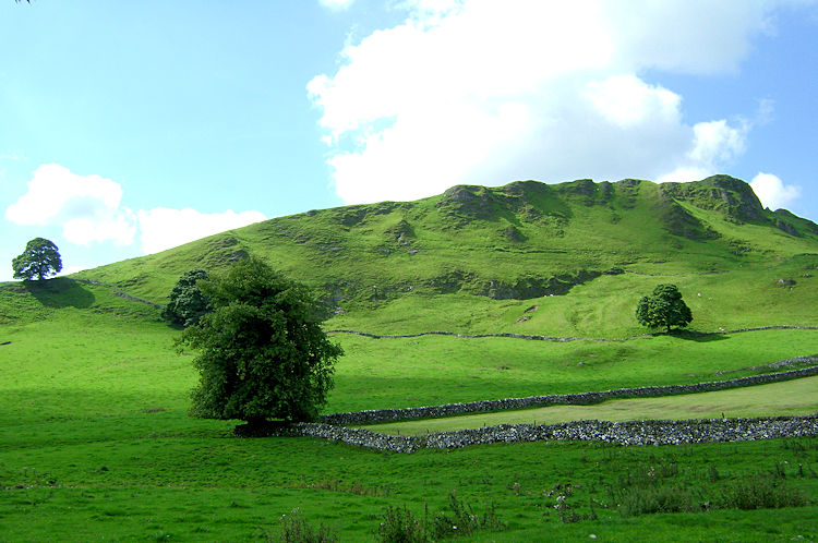 Chrome Hill