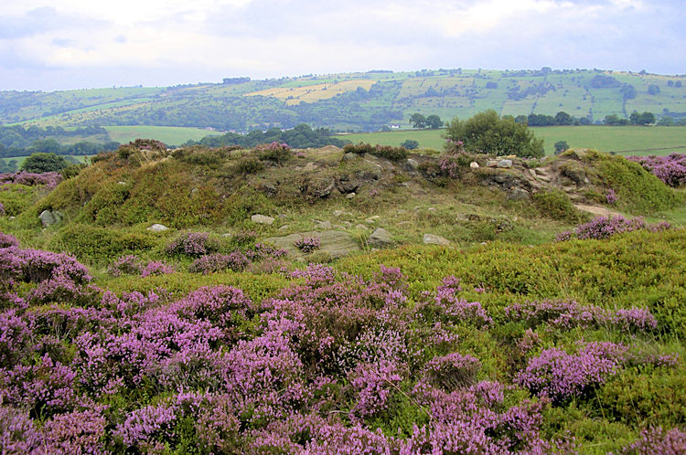 Stanton Moor