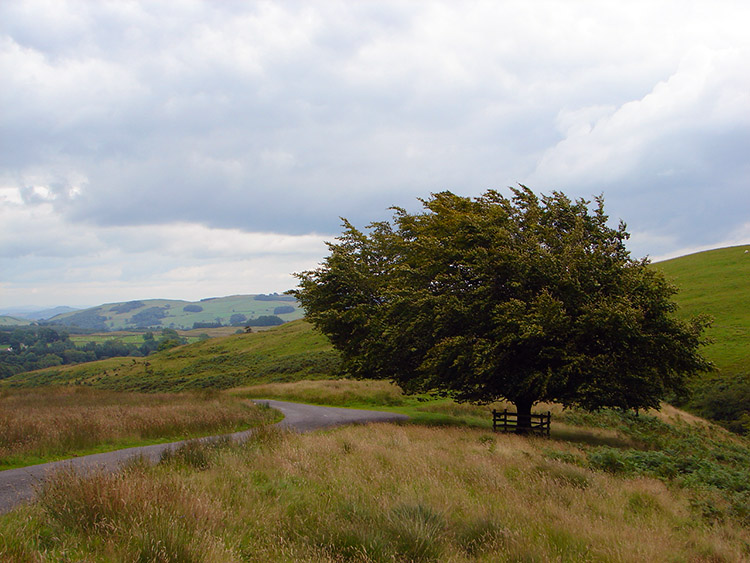 The view north from Pinetree Hill