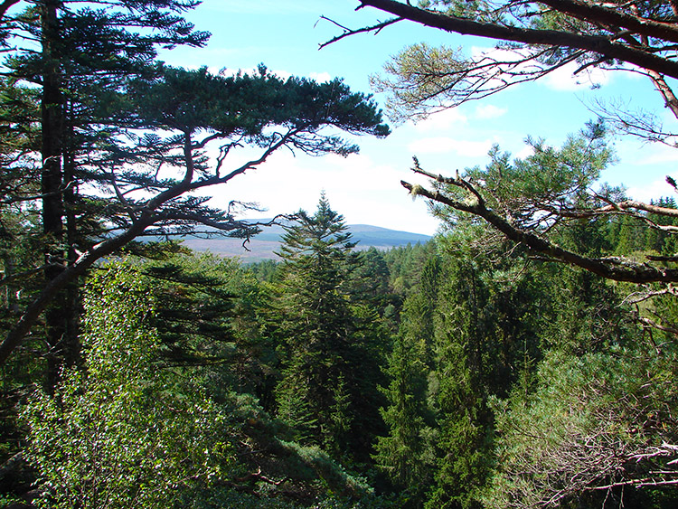 Looking out to the moors