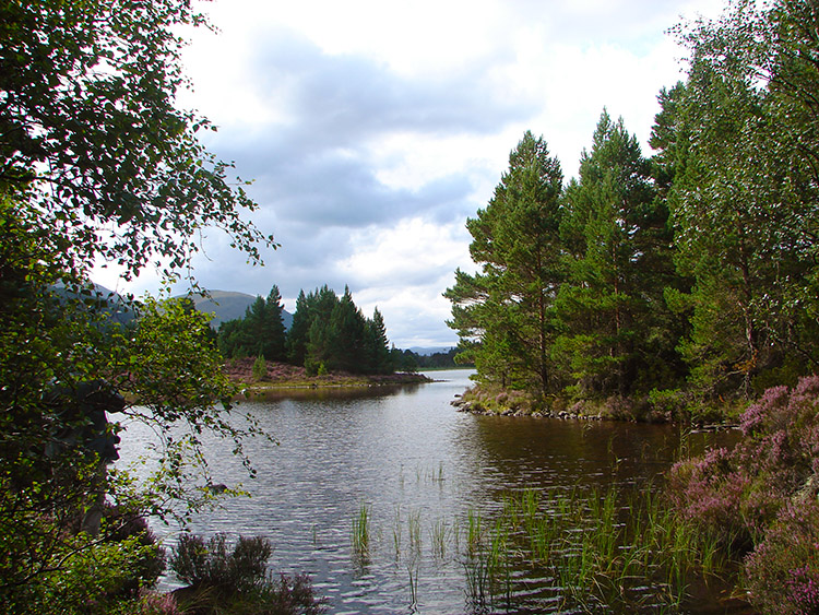 View to Loch Gamhna