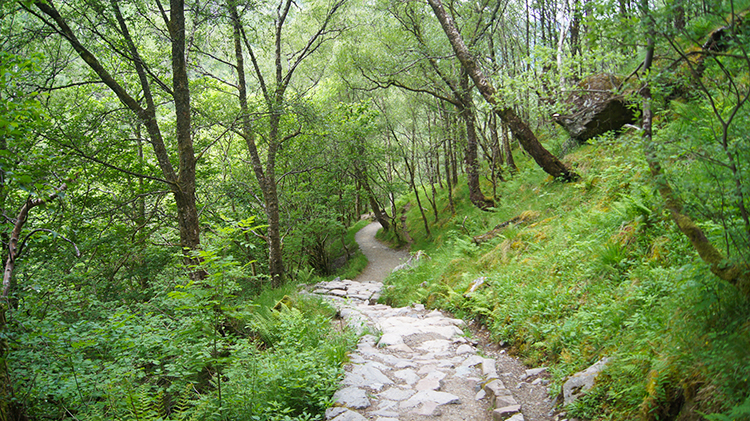 Heading back down the gorge