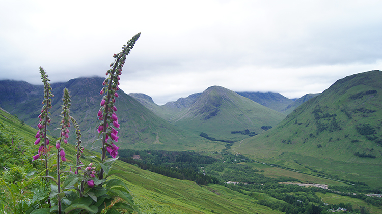 View to Glen Coe