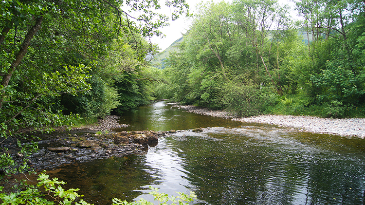 River Coe