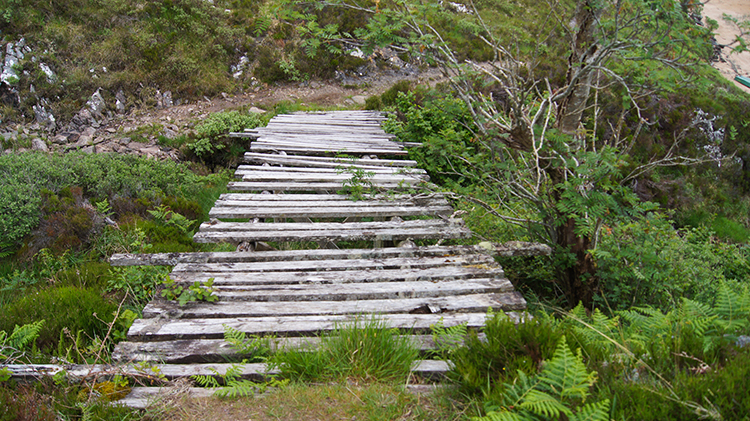 The rickety bridge