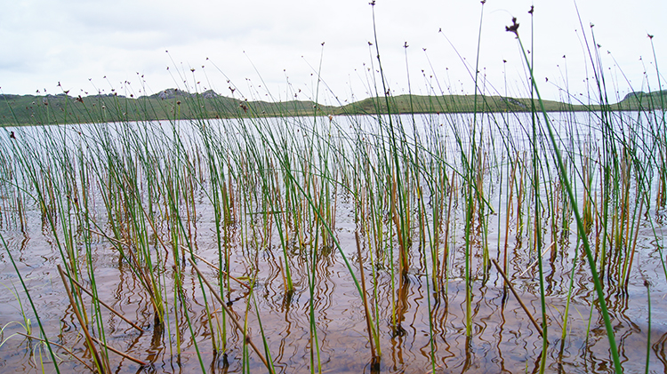 Loch Bràigh Horrisdale