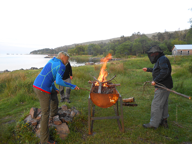 Cooking Midge and Potatoes