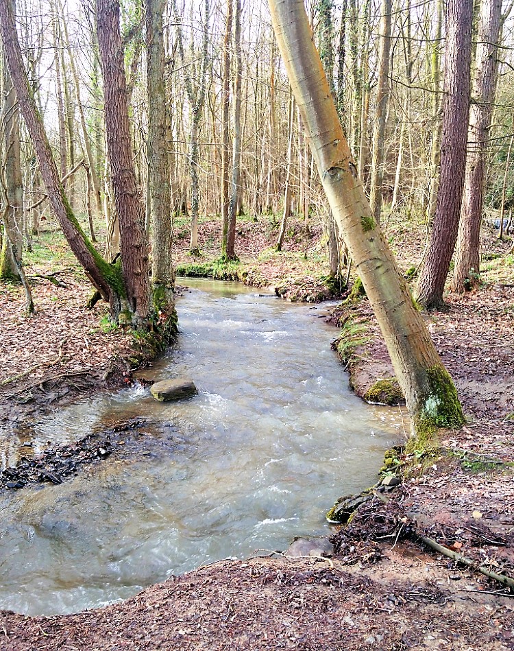 Totley Brook