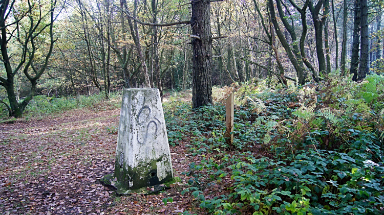 Trig Pillar at Greno Knoll