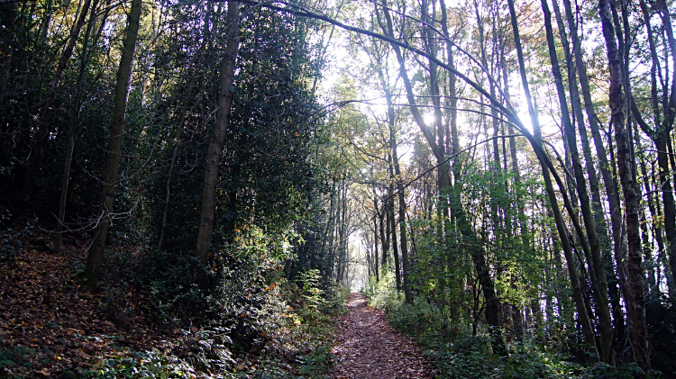 Climbing to Stanley Hill