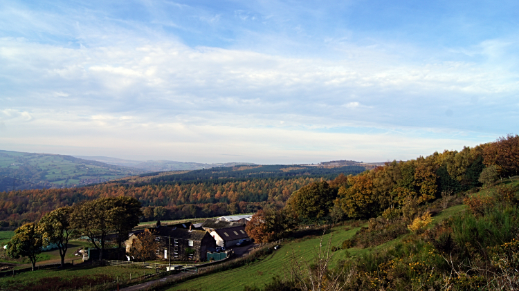 A view from Whalejaw Hill