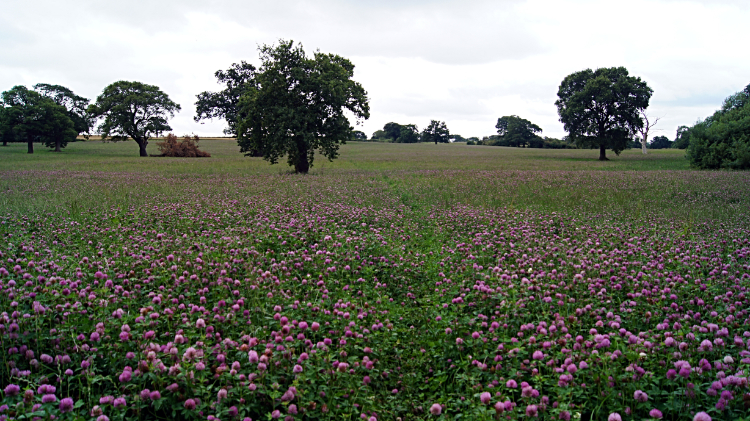 On the Shropshire Way near Whitchurch