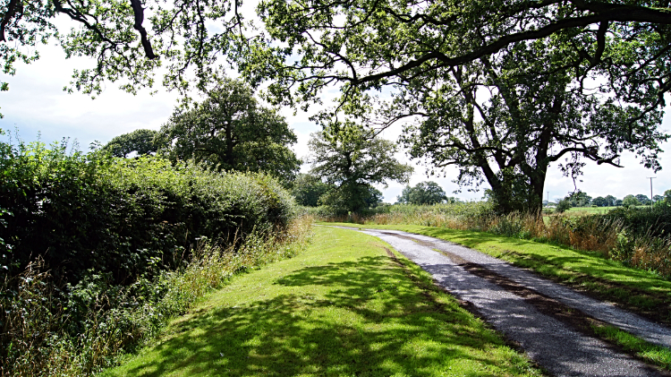 Sunshine in Shropshire