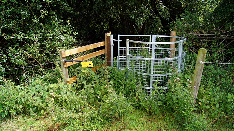 The gate and the electric fence