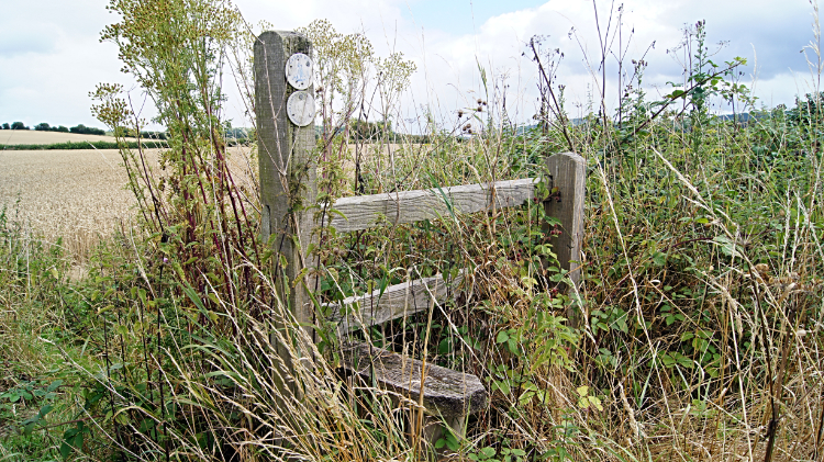 Overgrown stile near Cressage