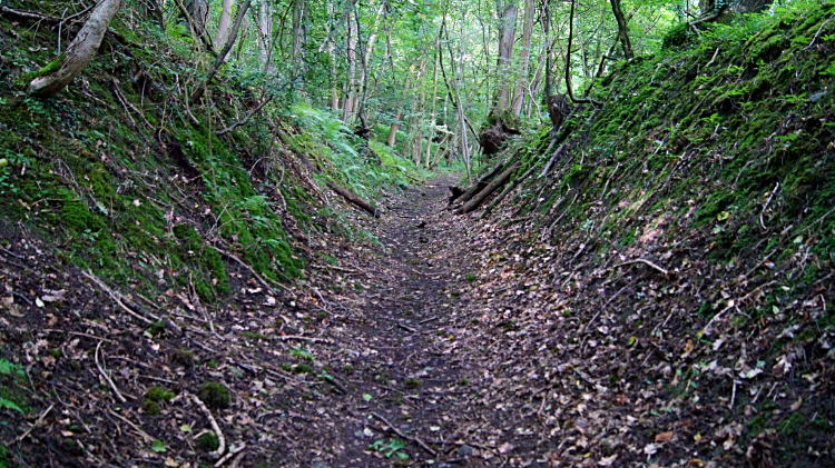 Holloway path through Benthall Edge Wood