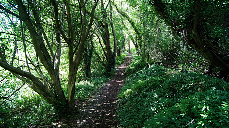 Following the disused railway line to Much Wenlock