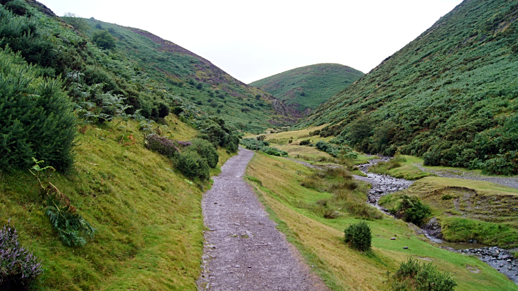 Climbing to Calf Ridge